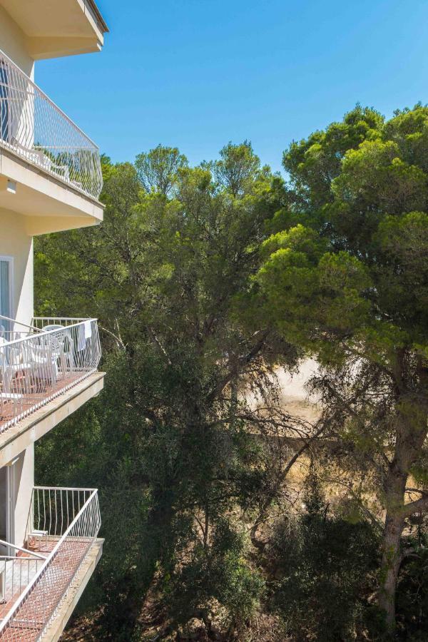 Elegance Playa Arenal Ξενοδοχείο Ελ Αρενάλ Εξωτερικό φωτογραφία